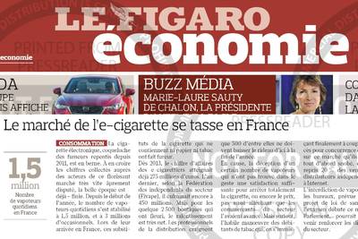 In Francia cala il mercato della e-cig (Le Figaro)