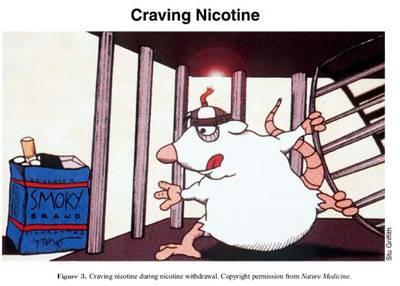 Studio su e-cig e infezioni alle vie respiratorie: fioccano le critiche